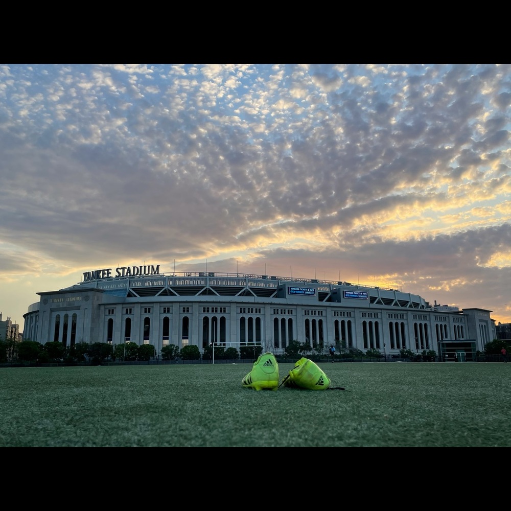 Meet your Posher, Sylvester